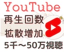 YouTubeの再生回数を希望の数まで伸ばします 全世界のリアルユーザーに向けてあなたの動画を拡散します！ イメージ1