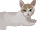 あなたの愛猫、愛犬を描きます ペットの画像をイラストにします イメージ1