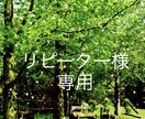 ２回目以降の方専用！根深い感情を癒します 刷り込みや前世からの不要な感情から解放されて幸せ体質になろう イメージ1