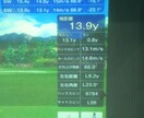 ゴルフの考え方が変わりめちゃくちゃ楽しくなります 現役USGTFティーチングプロと一緒にコツを学びませんか？ イメージ2