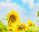 なんかモヤモヤ…スナック嬢が寄り添い元気を届けます 明日の自分の為に！今日のモヤモヤは今日の内に解消しよっ♪ イメージ7