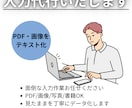 入力代行】PDFや画像をテキストに変換します 手作業で1文字ずつ丁寧に。見たままを正確にデータ化。 イメージ1