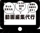 YouTube動画編集やります 動画のカット、文字入れを低価格で代行。他オプションあります！ イメージ1
