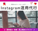 Instagram運用代行いたします 貴社に合った集客・宣伝・売上増加をインスタグラムで イメージ1
