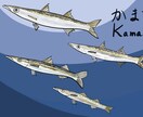 魚や魚介類の爽やかなイラストを描きます 爽やかな水彩タッチの海の生物のイラストいかがですか。 イメージ3