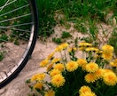 家庭学習をがんばりたい親御さん、応援します 今抱えているお悩み、なんでも伺います。 イメージ1