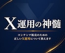 X運用でコンテンツを販売する戦略を体系的に教えます 実績ゼロから始めるポジション取りからライティングまで完全解説 イメージ1