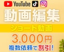 1分以内のショート動画編集を代行いたします 数百以上の編集実績 × 万バズ多数の現役SNS編集者が対応！ イメージ1