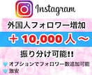 Instagramのフォロワー増やします 質の高い外国人フォロワーが10000人増えます！振り分け◎ イメージ1