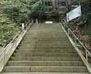 お相手の気持ちや恋愛運全般占います 仕事のお悩み、健康運、恋愛運占います イメージ2