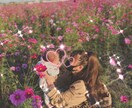 何でも話を聞きます 何でも来い！！！受け止めます！！ イメージ1