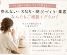 オンラインショップのお悩み、なんでも聞きます 売れない・SNS・商品づくり・愚痴もOK!! イメージ1