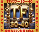 TF30超えで上位表示を実現致します TF30以上に強化！TF40も可能◎検索上位を狙う最短ルート イメージ1
