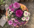 園芸のお悩み、ご相談を承ります 寄植え、水やり方法、土、置き場所など気になる事ご相談ください イメージ1