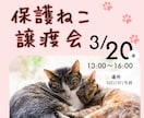 猫instagramの投稿や広告画像制作します ねこに特化！イメージに寄り添い丁寧にデザイン制作いたします！ イメージ3