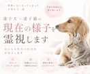 迷子犬・迷子猫の現在の様子を霊視します 気になる現在の状況をお伝えします イメージ1