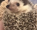 ちょっとしたことでもお聞きします どんなことでもお聞きします！少し吐き出してみませんか？ イメージ1