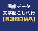 画像データの文字起こしを代行します できる限り早い納品を心がけます【最短即日納品】 イメージ1