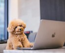 癒しボイスOLのおもしろエピソード話します やらかしがちなOLがやらかしたことを面白ろおかしく話します。 イメージ4