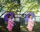 VERDE｜Lightroomプリセット販売します スマホで撮影した写真、ワンタッチで大変身！ イメージ9
