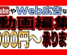 Web広告やYouTubeの動画編集承ります カット・テロップ・BGM挿入など幅広く編集させていただきます イメージ2