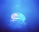 話し相手・相談相手になります なんでもお話し聞き、相談に乗ります！ イメージ1