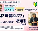 母音は、まず11コをシンプルに4つに分けて覚えます 感覚に頼らない！誰でも納得の「見える化」＋「言語化」レッスン イメージ1
