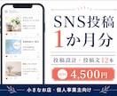 SNS投稿の投稿計画と投稿文12本を作成します 1か月分の発信準備を、投稿テーマから整えます イメージ1