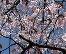 雰囲気のある風景写真素材を提供します SNSやWebに使いやすい写真素材です イメージ5