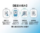 データで見える手相鑑定｜5運勢スコア化します 曖昧さゼロ。データ×直感で運勢を見える化！ イメージ4