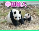 メルカリ・ヤフオクの仕入★中国輸入のやり方教えます 転売で中国輸入の経験の無い方、中国仕入に興味のある方必見！ イメージ1