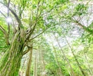 もしものことがあったら？不安な気持ち受け止めます 自分にもしものことがあった時の不安、話してください イメージ1