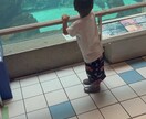強制認知についてお教えします シンママの方や今からなる方へのアドバイスになればと思います イメージ1