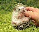 前向き生きるヒントがみつかります 悩み相談、話し相手になります☆ イメージ2