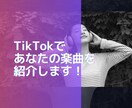 TikTokであなたの楽曲を紹介・PRします 月間視聴数84万のアカウントで、あなたの楽曲をPR！ イメージ1