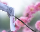 強制復縁・強制ご縁戻しのご祈祷をします 強制復縁・強制ご縁戻し術 –もう一度、あの人と繋がるために イメージ9
