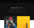 コスパ抜群②）洗練されたLPを格安で作成します プロモーション向けに最適化されたレスポンシブ対応LPです イメージ2