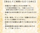 2026年運気予報★準備と行動で運命は変えられます 2026年の流れを把握！ぬかりなく準備して『開運の年』へ。 イメージ8