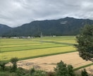 疲れた心のお話をやさしく聞きます 否定せず、友達のような距離感で寄り添います イメージ1
