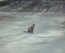 どんな話でもお聞きします NGジャンルはありません！とにかく聞いて欲しいという方是非！ イメージ1