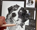 手描きで描く、動物の肖像画イラスト制作します 【先着5名様限定価格サービス中！】 イメージ7