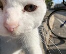 雑談、愚痴、悩み、うけつけます なんでも話してスッキリ！お気楽にどうぞー イメージ8