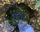 迷えるあなたの未来を導きます 一問一答宇宙エネルギーで今あなたに必要な言葉を送ります イメージ3
