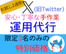 お試し2週間●X(Twitter)運用代行します 1か月運用前のお試し2週間！充実した内容を体験して下さい！ イメージ1