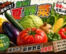 夏野菜の売れるPOPを制作します 八百屋専門売れるPOPを制作します。 イメージ10