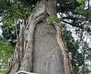 お相手のお気持ちをお伝えします 鑑定歴20年✨恋のサポート致します。 イメージ10