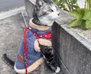 やさしくお話聞きます♡愚痴・雑談・猫トークOKます 猫好き主婦がやさしくお話聞きます イメージ2