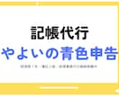やよいの青色 個人事業主様の仕訳・記帳代行をします 日商簿記2級と一人経理の経験を活かしてサポートします! イメージ1