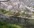 京都・奈良など関西の写真撮影代行します 神社仏閣や季節の風景等々、関西にて写真撮影を代行します イメージ1