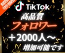 TikTokのフォロワー2000人以上増加させます 【出店記念としてお得な期間限定価格でご提供中（20名まで）】 イメージ1